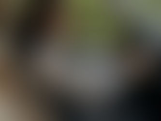 It’s officially live.