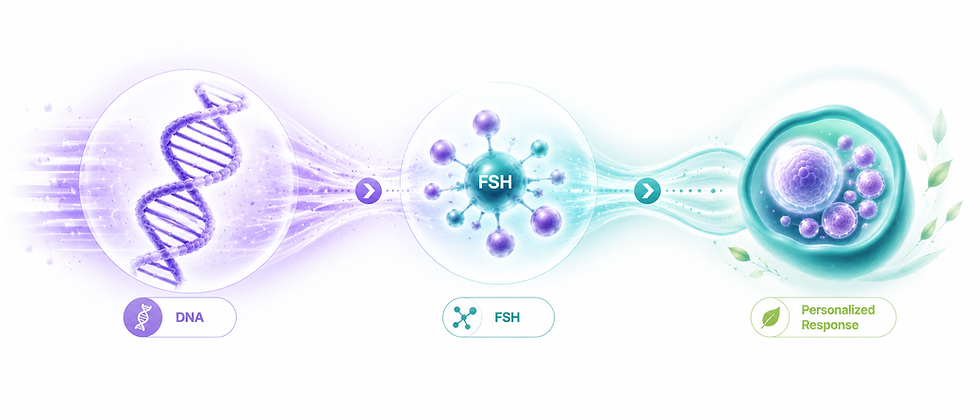A modern IVF laboratory setup showcasing the precise tools used to manage follicular growth and hormonal balance.