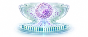 Genetic Screening IVF Kerala: Non-Invasive niPGT-A Breakthrough