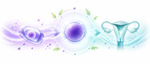 Frozen Embryo Transfer (FET) Advantages | Bliss Fertility Hospital Kerala