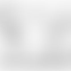 Question à Adèle Van Reeth - #3