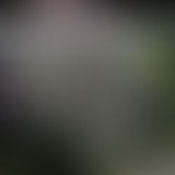 Propos d'un confiné vulnérable - #6