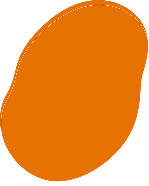 6descorchee webRecurso 43.png