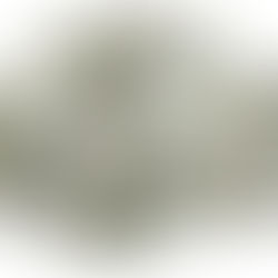 i got 99 problems but cash ain't one