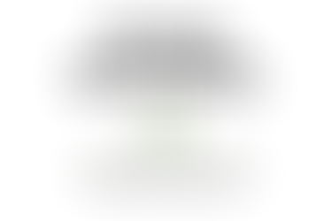 Mike Lindberg Memorial Scholarship