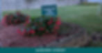 September 2024 - Lawn of the Month - Auburn Street