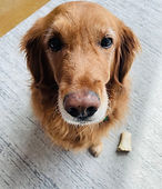 Lu