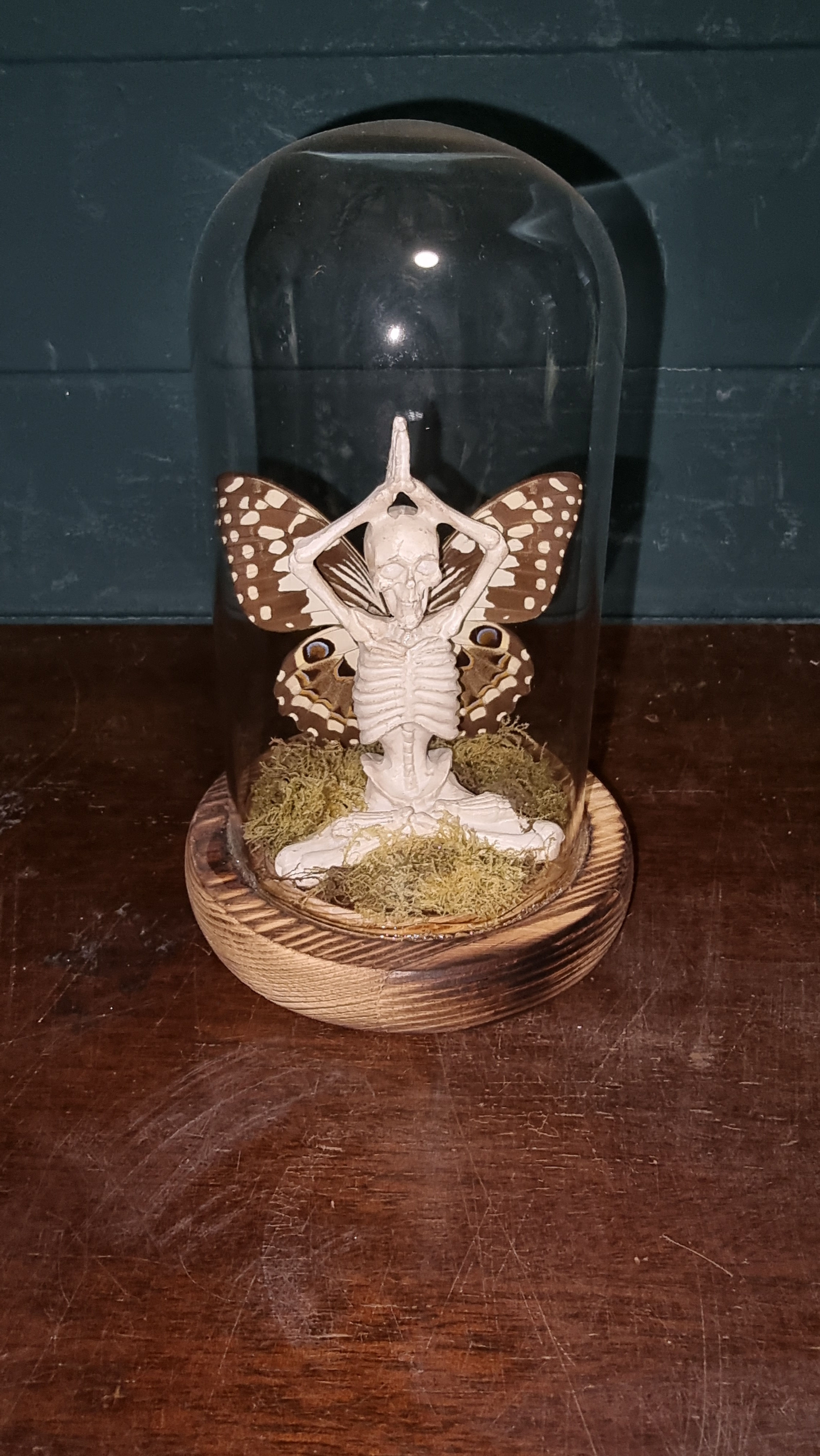 Yoga Skeleton Fairy Dome – real butterfly Wings