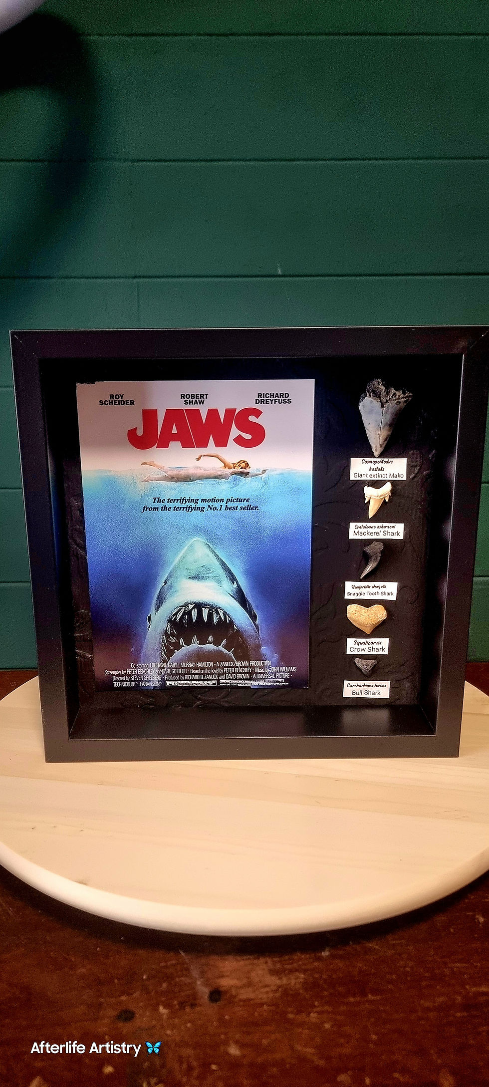 JAWS Fossil Display Movie Frame – Real Fossilised Shark Teeth