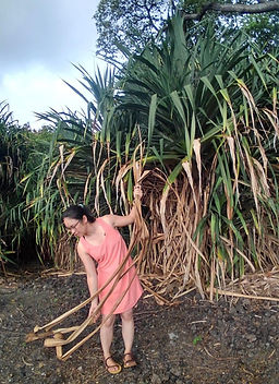 材料のアダンの葉
