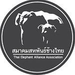 thaielephantalliance.jpg