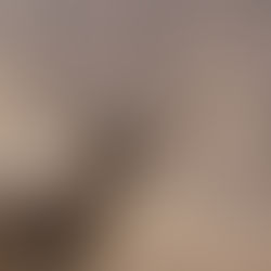 Abiding in the Dry Land