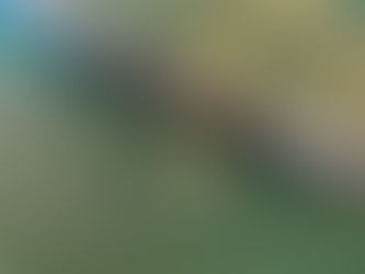 Unarmed Before the Kingdom