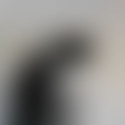 When Surrender Loses Its Mirror