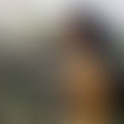 Restrained from Presumption