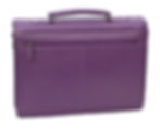 Thumbnail: Purple Large Business Case