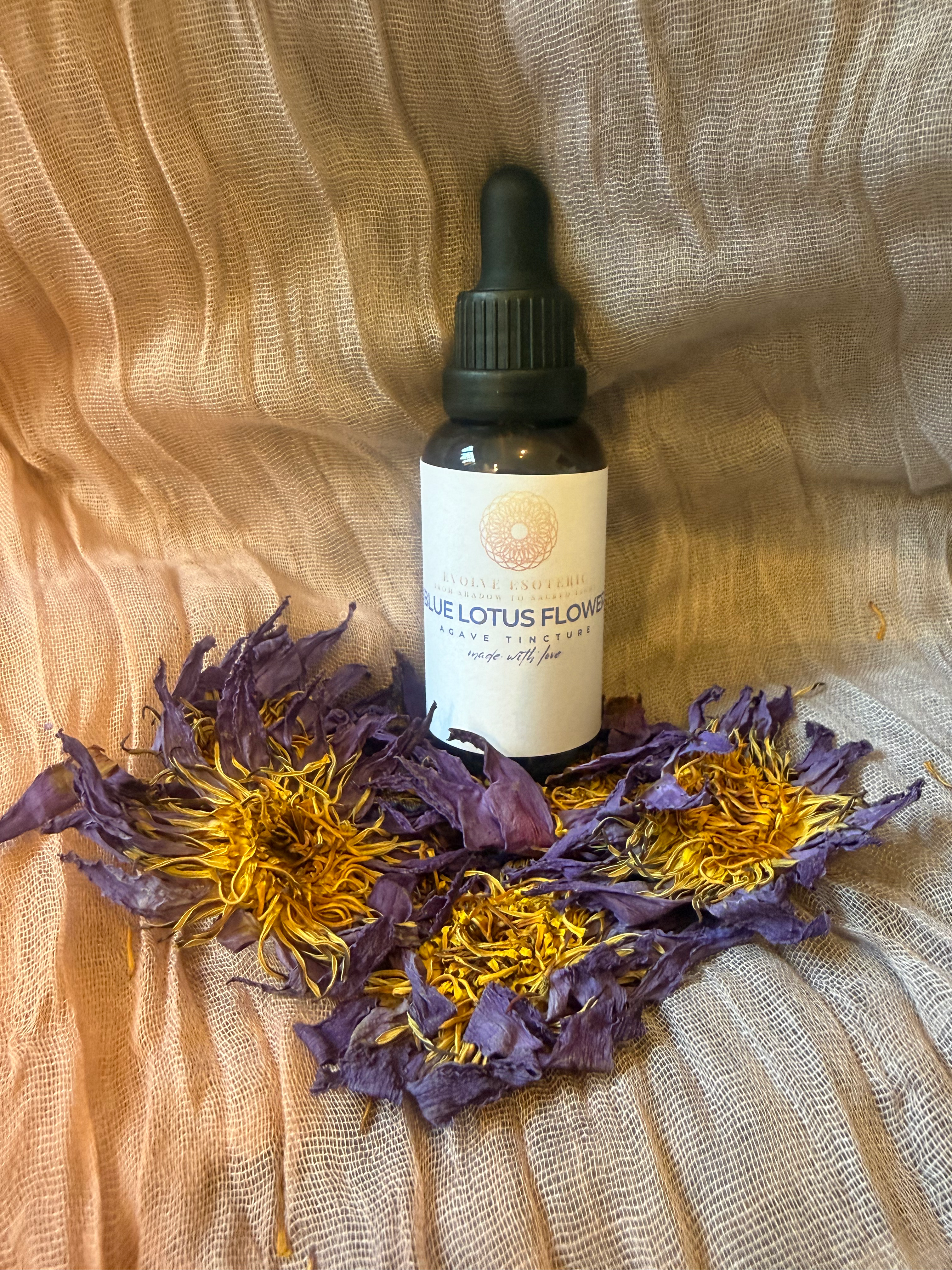 Blue Lotus Flower Tincture