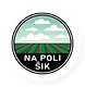 na_polisik.png
