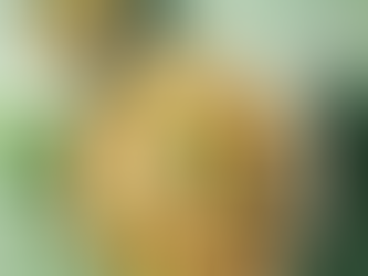 Těstovinový salát s veganským tuňákem od Garden Gourmet