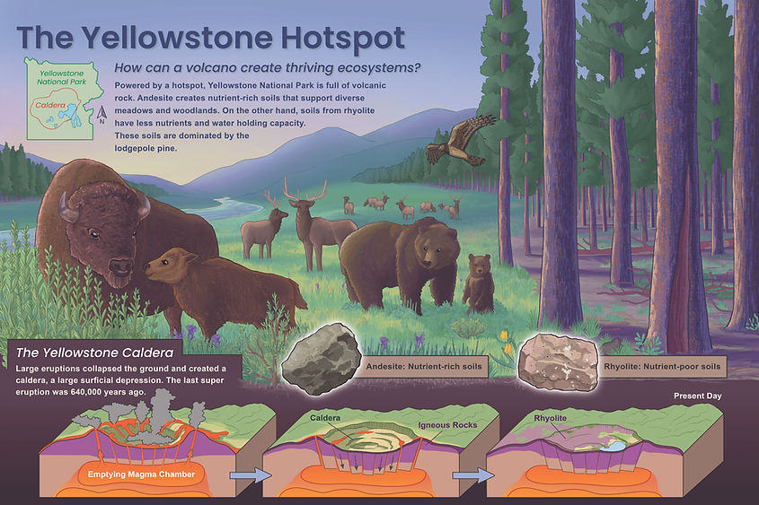 Maya Hutagalung_Yellowstone.jpg