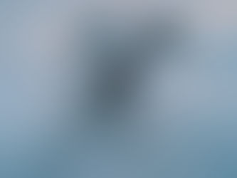 To CG Dog or Not to CG Dog?