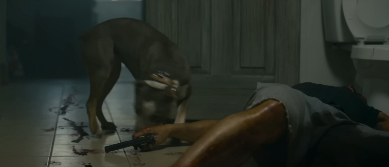 CG dogs, good boy, krypto