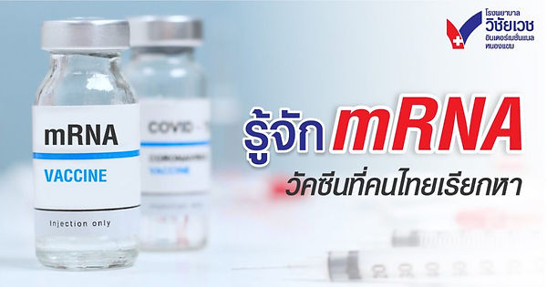Bannerรู้จักmRNA-1024x538.jpg