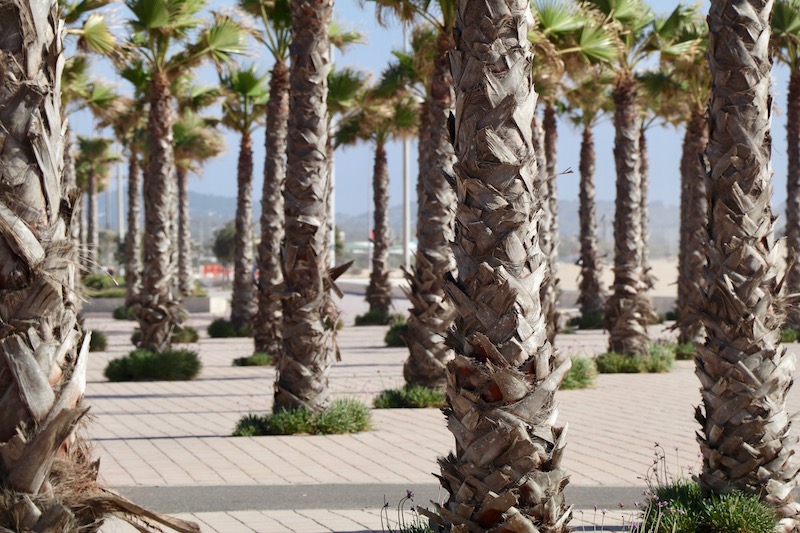 Essaouira, Morocco