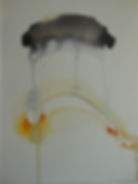 DSCN2710