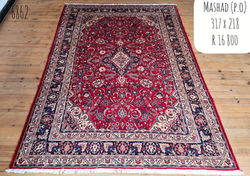 InShot_20260212_120013560