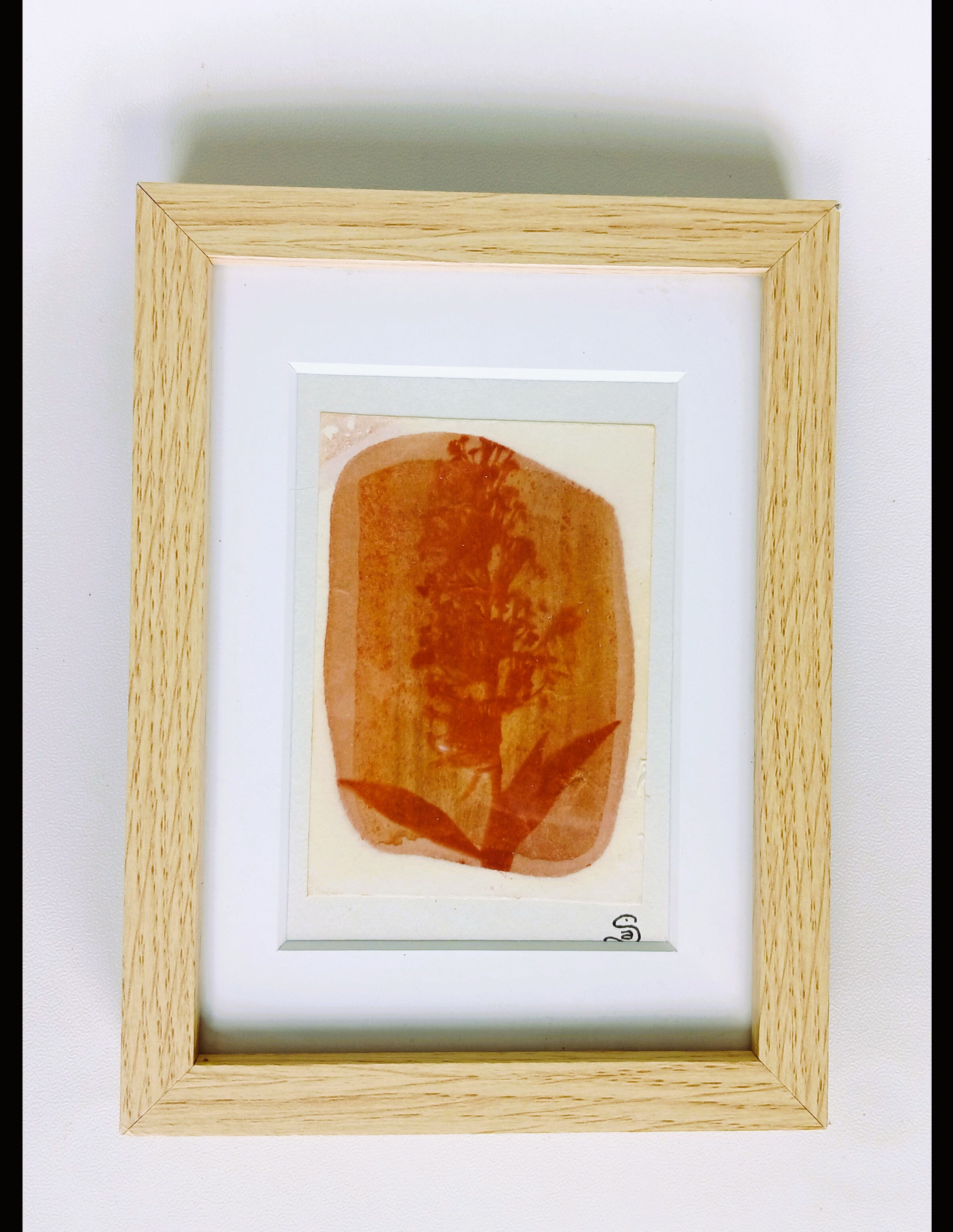 Cyanotype à base de curcuma