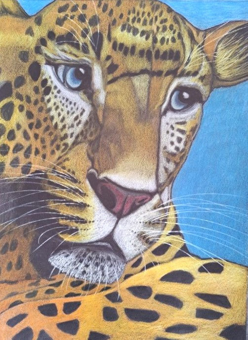 Panthère, dessin aux crayons, pièce unique, fait main, portrait animalier