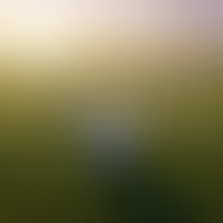 Les Victorieux Silencieux