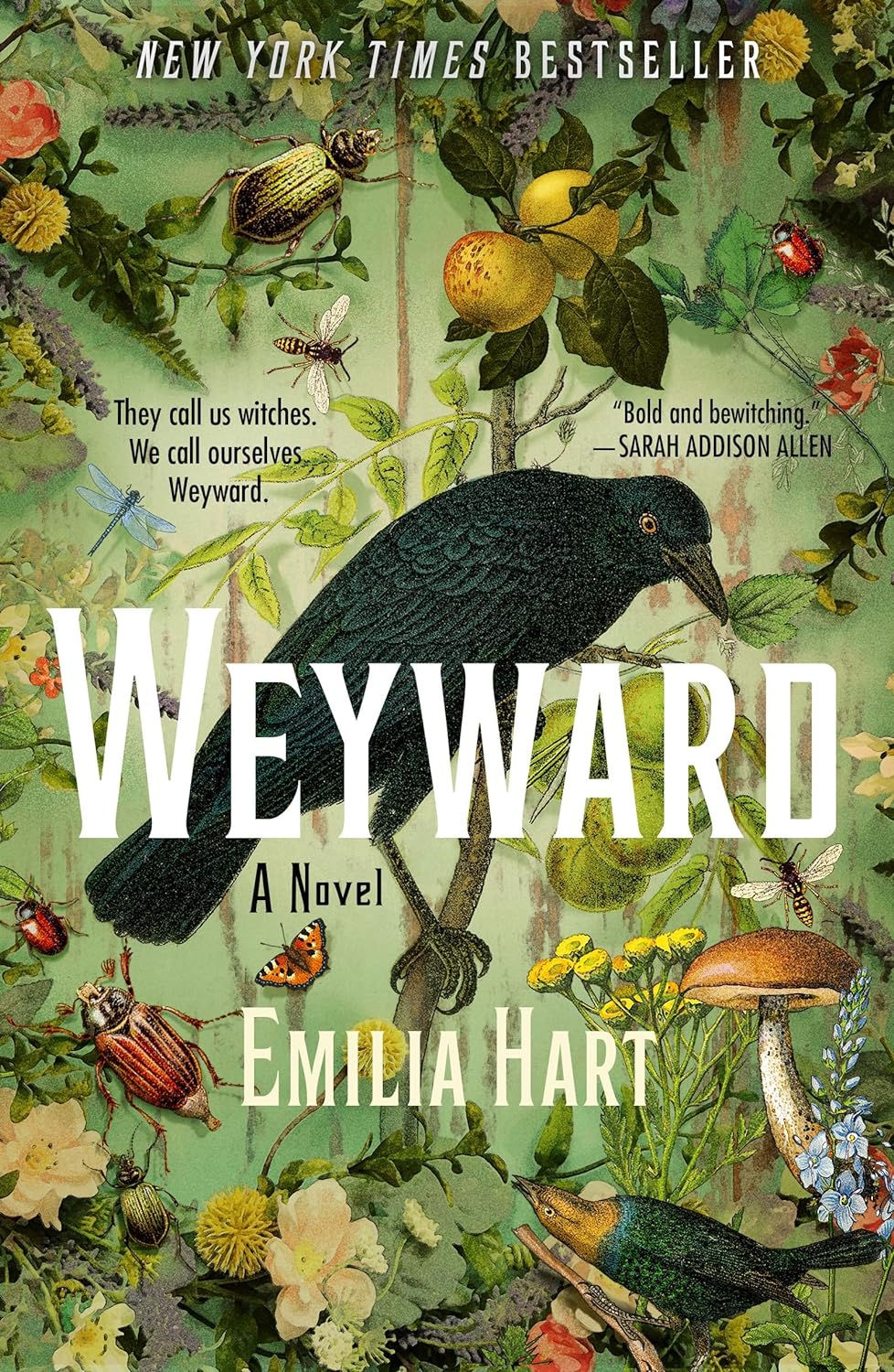 A nature scene in which fruits, insects, and plants surround a central black bird; cover of Weyward