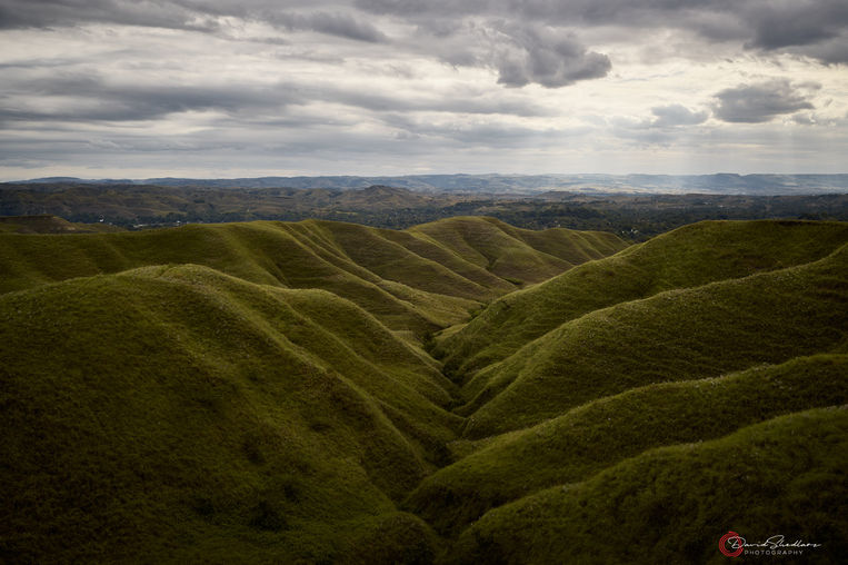 Beautiful rolling savannas of deep green and golden hues stretching deep into the distance.