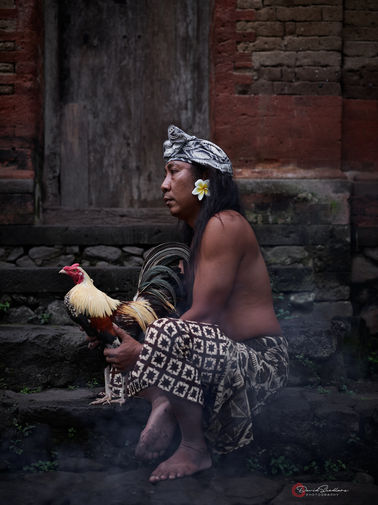 A profile portrait of a traditional Balinese man handling a rooster while sitting on a step in a very old village with smoke blowing throug the frame.