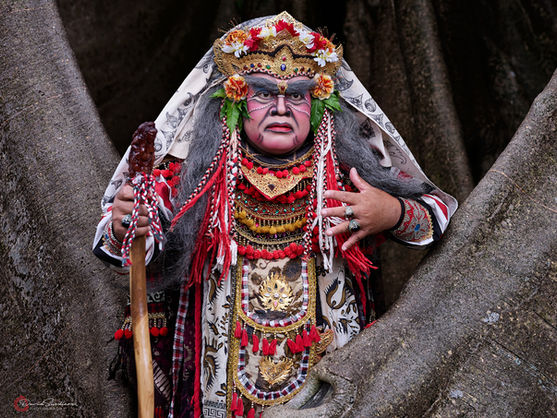A man dressed as the Storyteller in the traditional Sidakarya Mask Dance against the backdrop of the white Banyan Tree in Bali, Indonesia.
