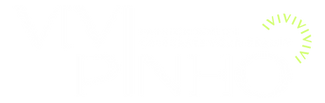 Vivi Pinho's logo, Fashion Stylist