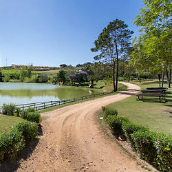 imagen virtual (IA) de camino con lago