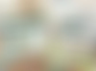 【写管屋クラウド】情報の「全コピー＆項目別コピー」で爆速化　写真整理のプロが教える！デキスパート基本操作①