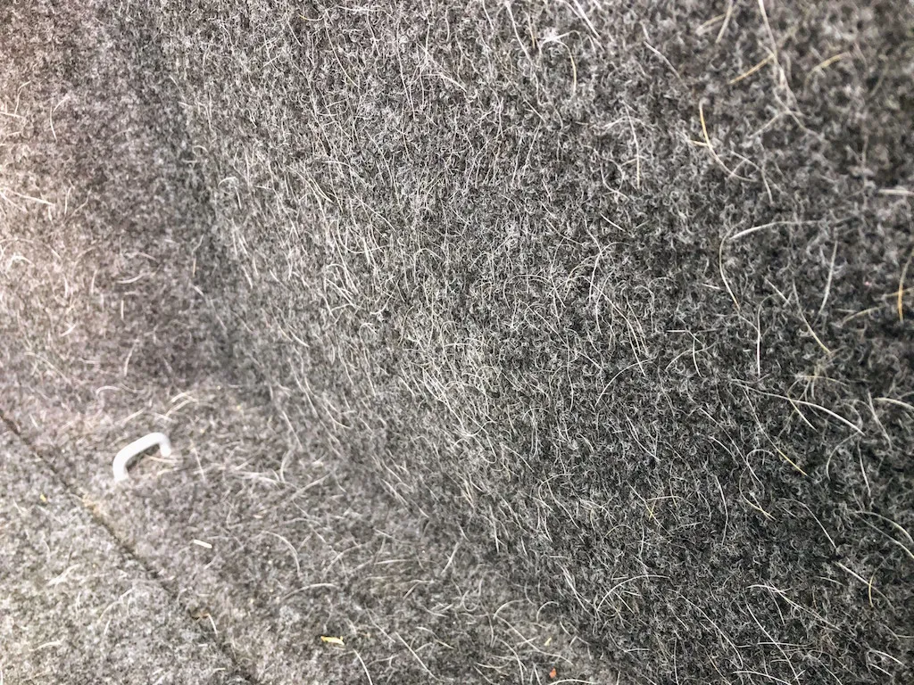 Pet Hair Removal