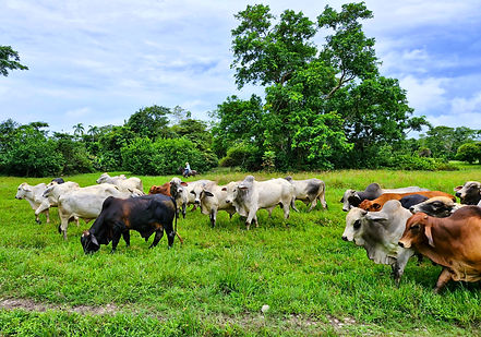 20240607_084427_edited.jpg