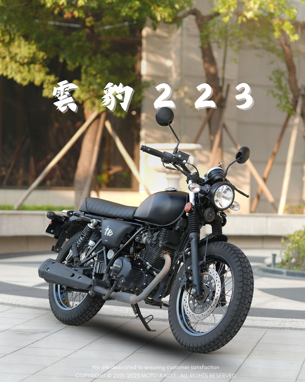 Hình thu nhỏ: 雲豹223 #8937