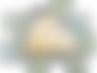 25 Guiding Principles of Building Biology