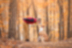 PIC_2465-Edit