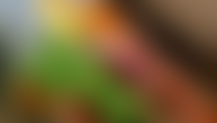 DE L'IMPORTANCE DE LA BEAUTÉ