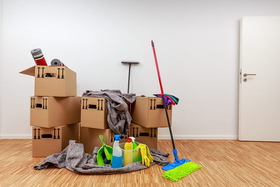 Move In- Move Out Cleaning