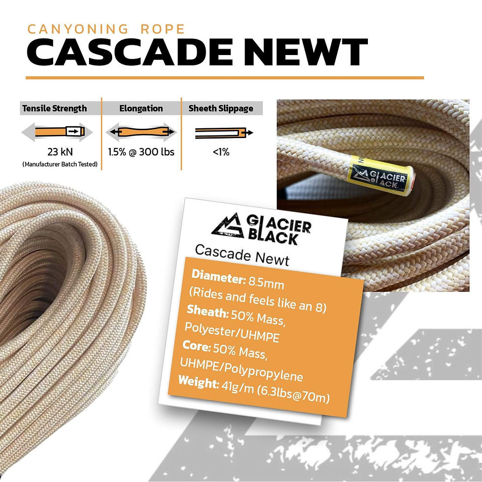 Thumbnail: Cascade Newt