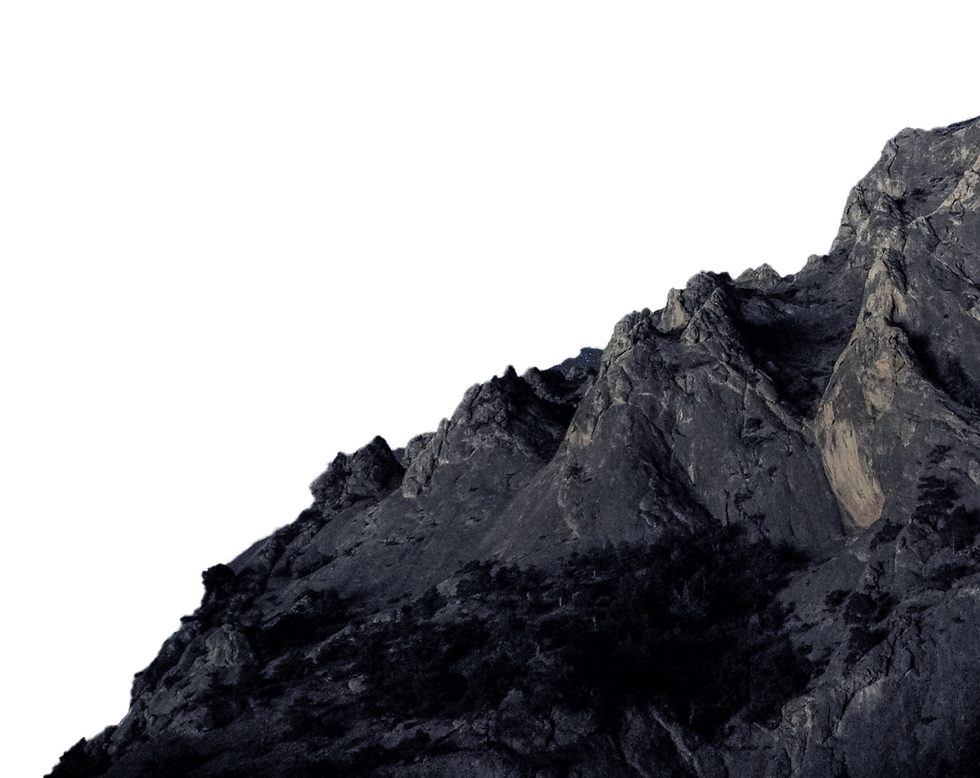 IT service provider for success