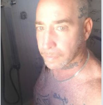 שועל